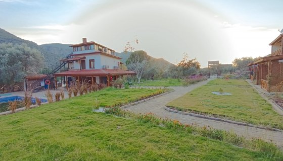 Odalar